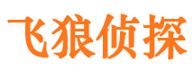 浔阳婚外情调查取证